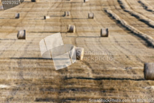 Image of stack of straw in the field