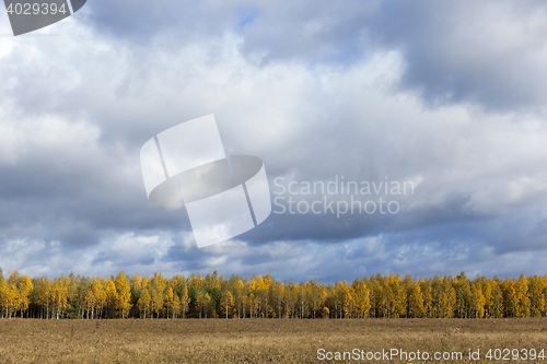 Image of Nature in autumn season