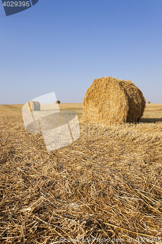 Image of haystacks straw, close up