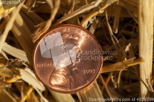 Image of stack of straw in the field