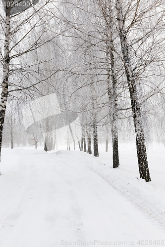 Image of path in the snow