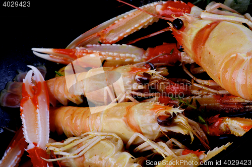 Image of Delicious Roasted Langoustines