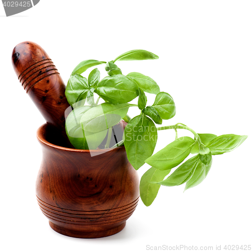 Image of Basil in Mortar with Pestle