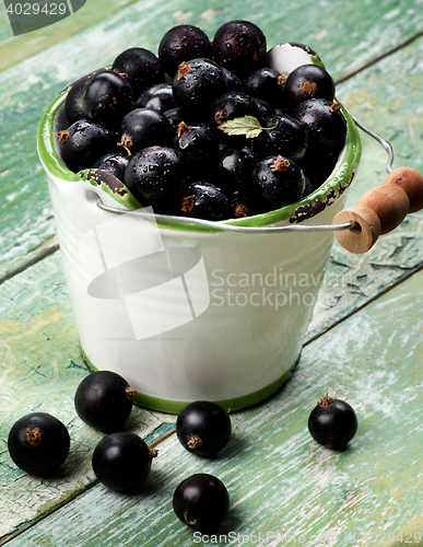 Image of Fresh Berries of Blackcurrant