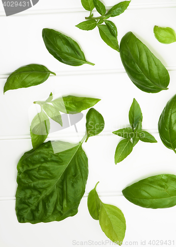 Image of Fresh Basil Leafs