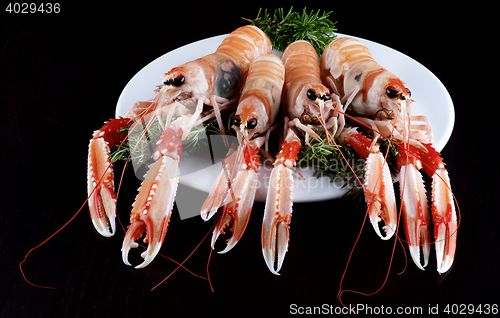 Image of Delicious Raw Langoustines