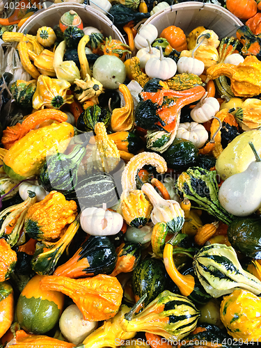 Image of Baskets with colorful decorative gourds