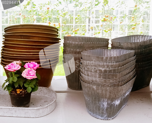 Image of Roses and retro style metal flower pots