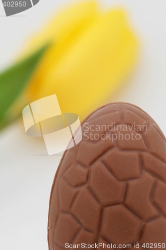 Image of cropped egg