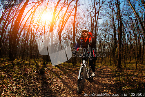 Image of Rider in action at Freestyle Mountain Bike Session