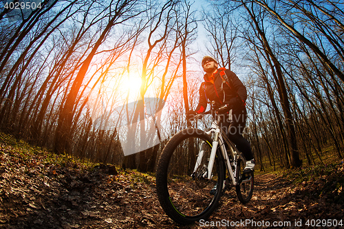 Image of Rider in action at Freestyle Mountain Bike Session