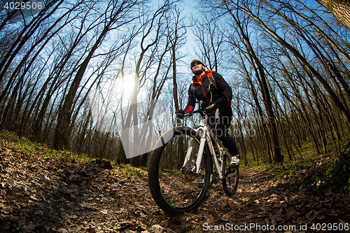 Image of Rider in action at Freestyle Mountain Bike Session