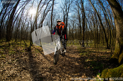 Image of Rider in action at Freestyle Mountain Bike Session