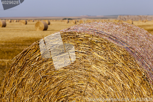 Image of background stack of straw