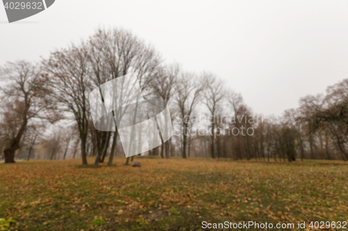 Image of Autumn Park, overcast