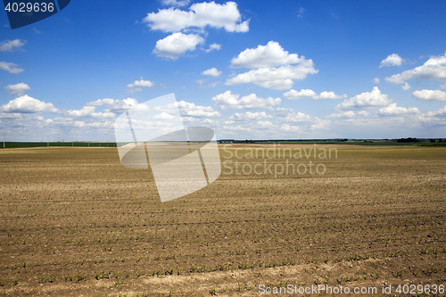 Image of plowed for crop land