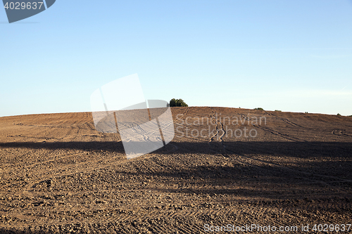 Image of plowed agricultural field