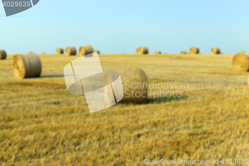 Image of stack of straw in the field