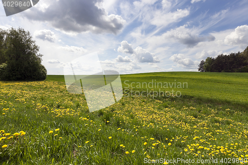 Image of Photo agriculture, Europe