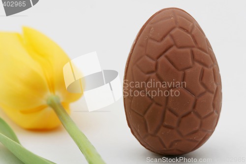Image of easter egg hunt