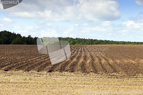 Image of plowed land, furrows