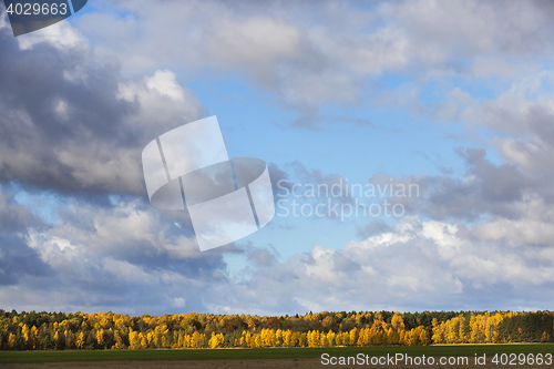 Image of Nature in autumn season