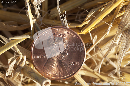 Image of coin in the straw