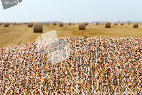 Image of stack of straw in the field