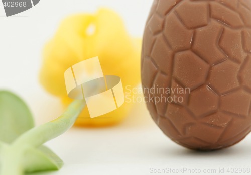 Image of tulip and candy egg