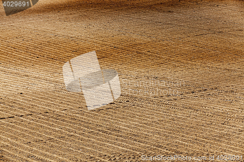 Image of plowed agricultural field