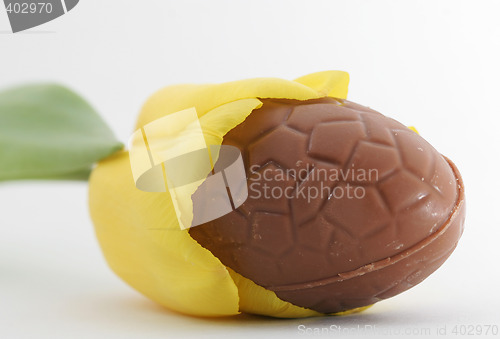 Image of laying easter egg