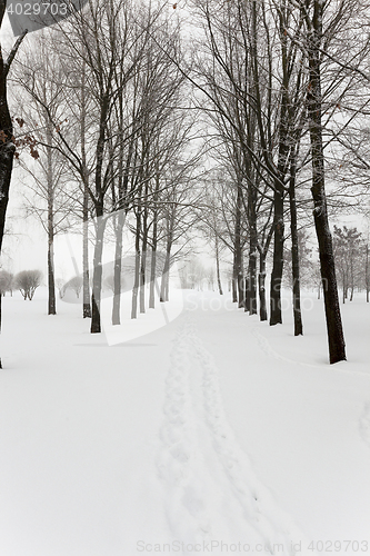 Image of winter road , snow