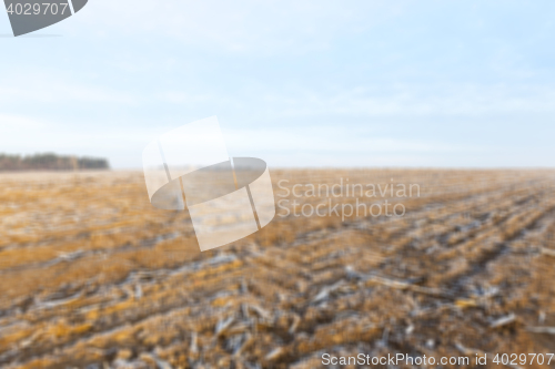 Image of plowed land, frost