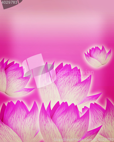 Image of Pink background with tender pink flowers. Perfect for invitation