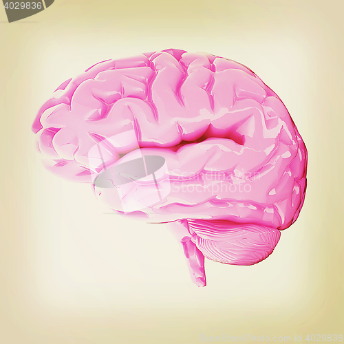 Image of Human brain. 3D illustration. Vintage style.