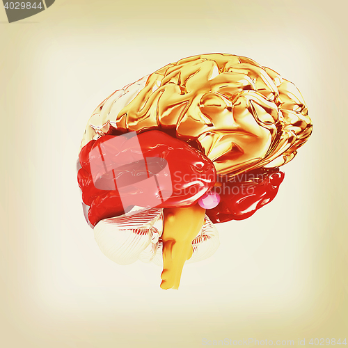 Image of Colorfull human brain. 3D illustration. Vintage style.