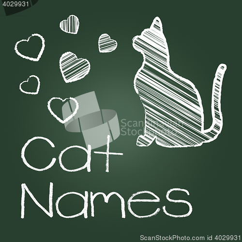 Image of Cat Names Represents Feline Identity And Cats