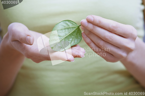 Image of Woman holding small green leaf