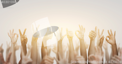 Image of human hands showing thumbs up, ok and peace signs