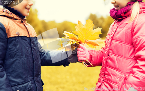 Image of little boy giving autumn maple leaves to girl