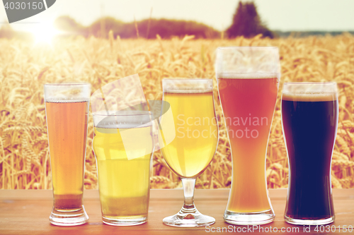 Image of close up of different beers in glasses on table