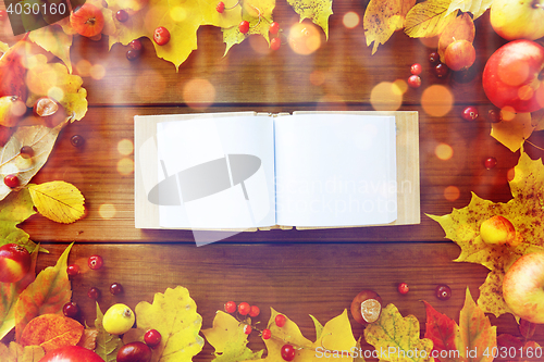 Image of empty book with autumn leaves, fruits and berries