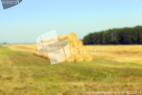 Image of stack of wheat straw