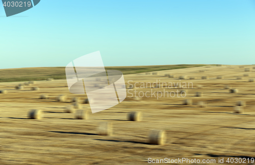 Image of stack of straw in the field