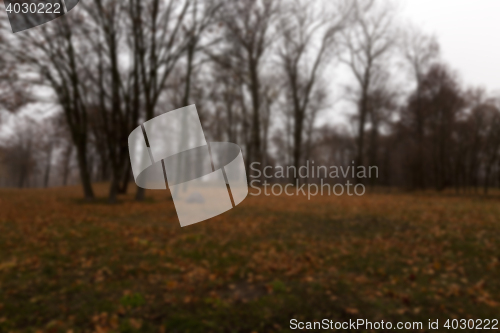 Image of Autumn Park, overcast