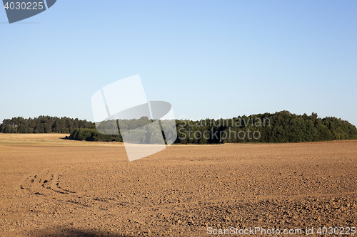 Image of plowed agricultural field