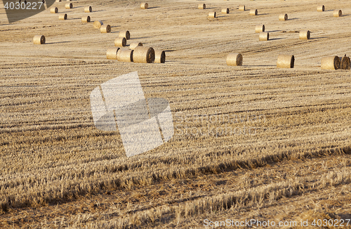 Image of stack of straw in the field