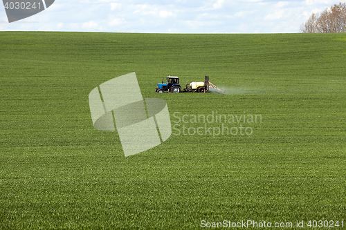 Image of Processing of cereal