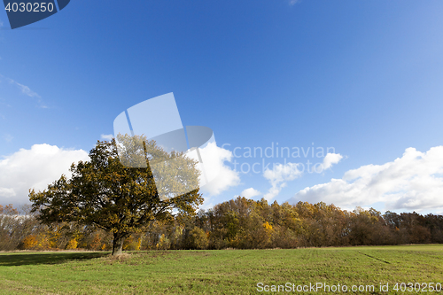 Image of Nature in autumn season