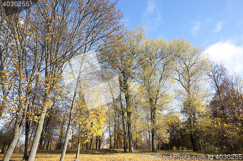 Image of Nature in autumn season